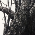 Artwell Tree