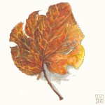 Autumn Leaves 2