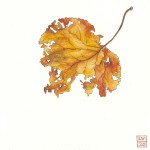 Autumn Leaves 7
