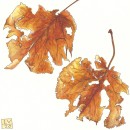 Watercolours