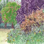 Panoramic Garden