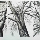 Trees Triptich